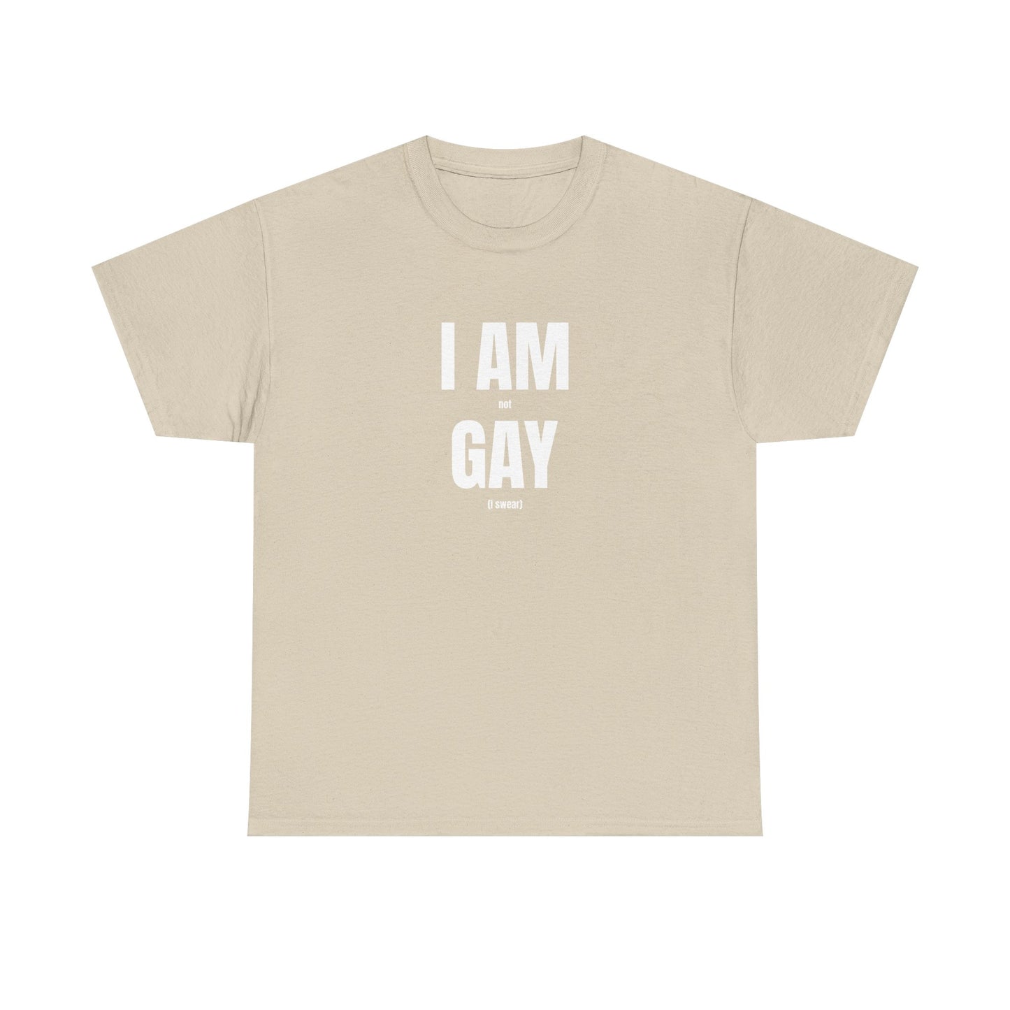 'I AM GAY'